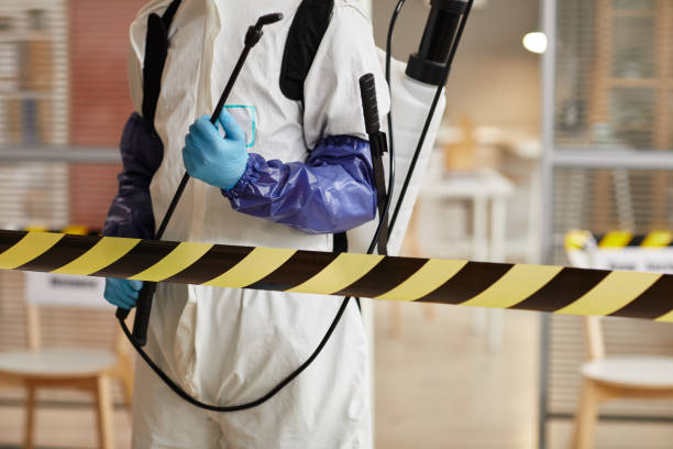 Professional Hoarding Cleanup technician working in Woody, CA